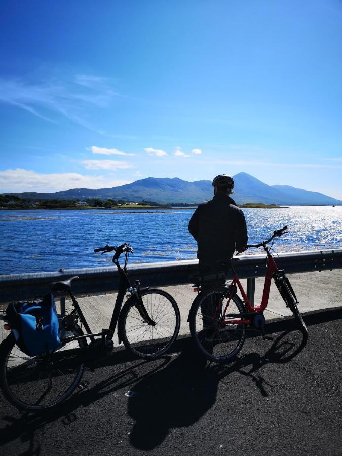 韦斯特波特 Nellys Bed And Bikes酒店 外观 照片